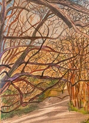 artwork by suzanne of trees