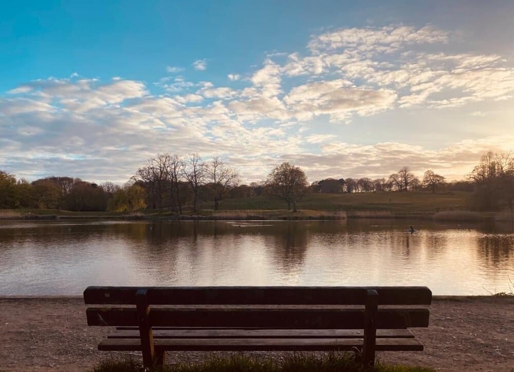 bench at the side of a pond