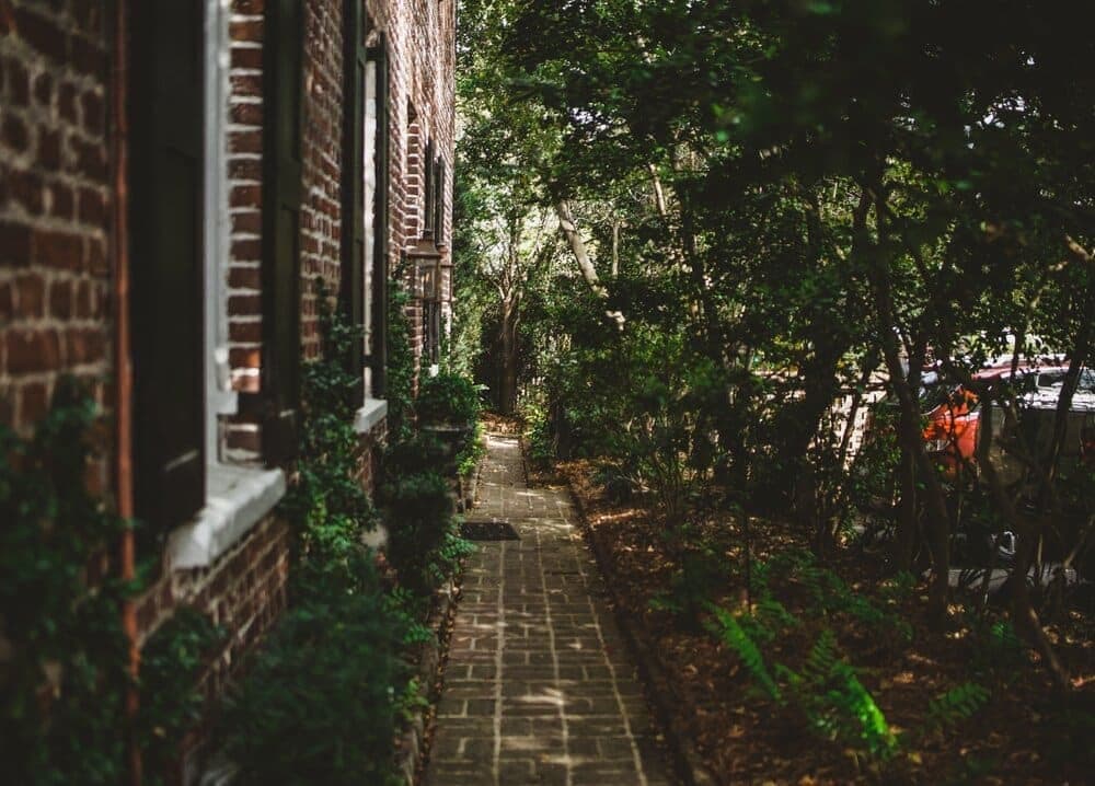 garden path next to house