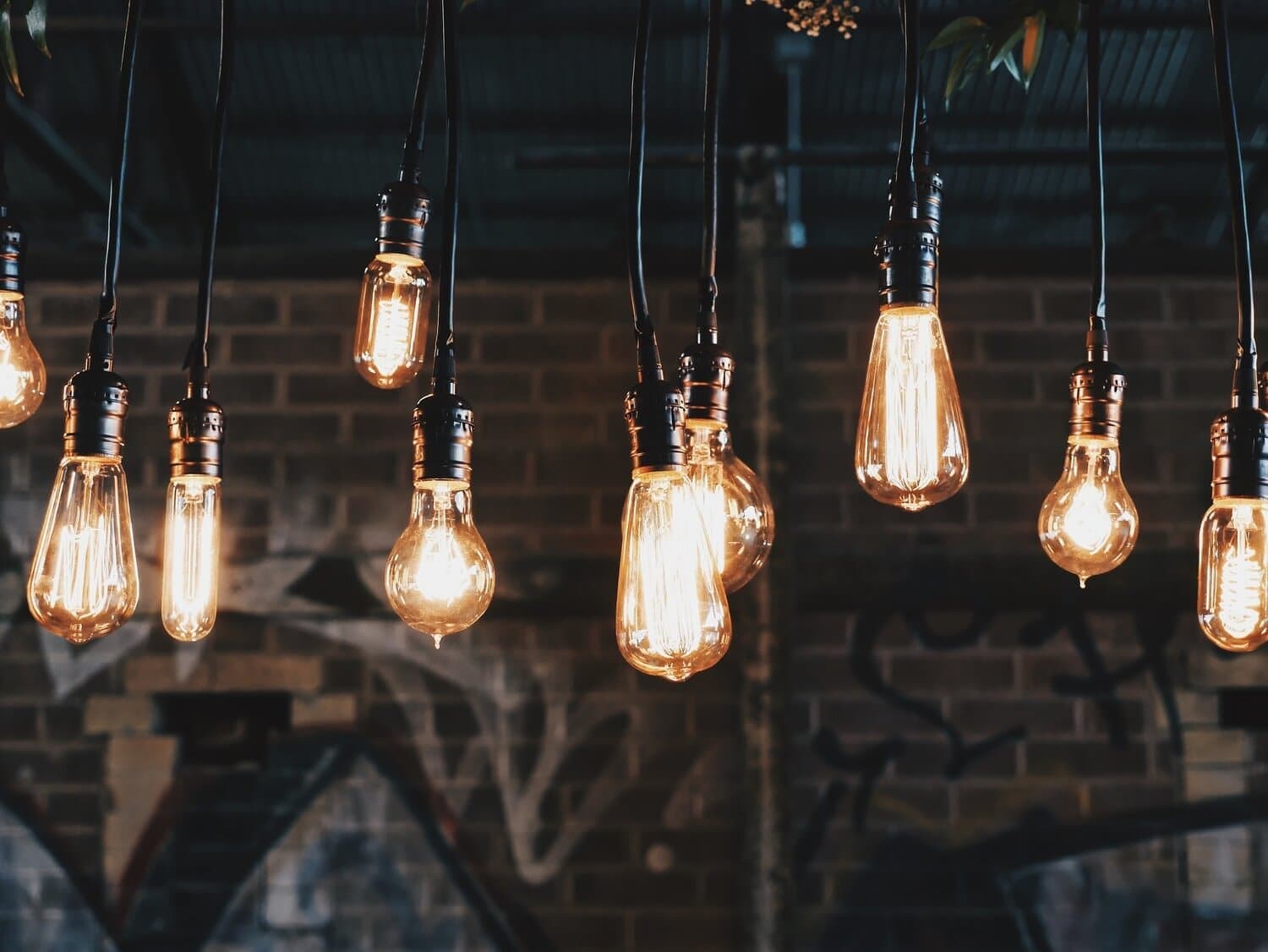 lightbulbs hanging from the ceiling