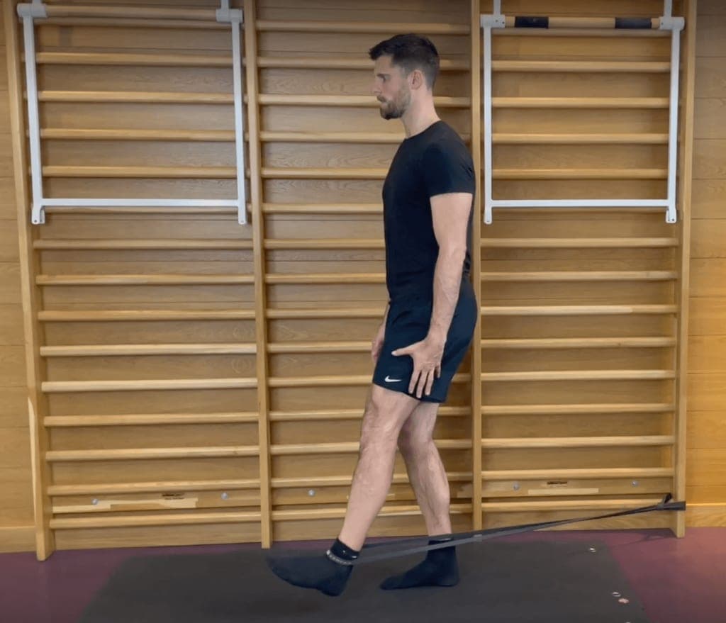 patellar exercises sf studios