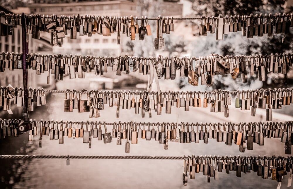 Locks on a fence