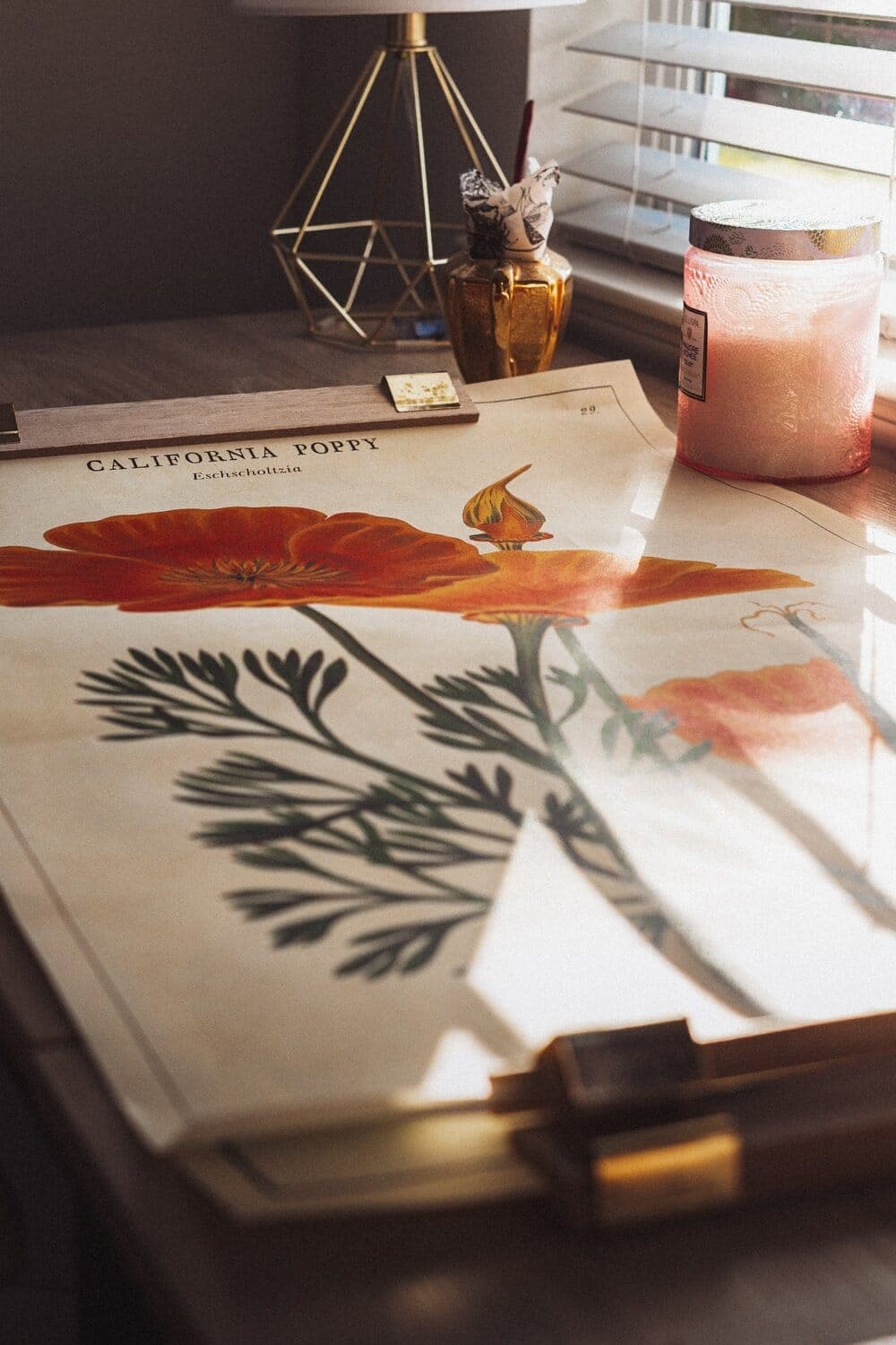 working desk at a window